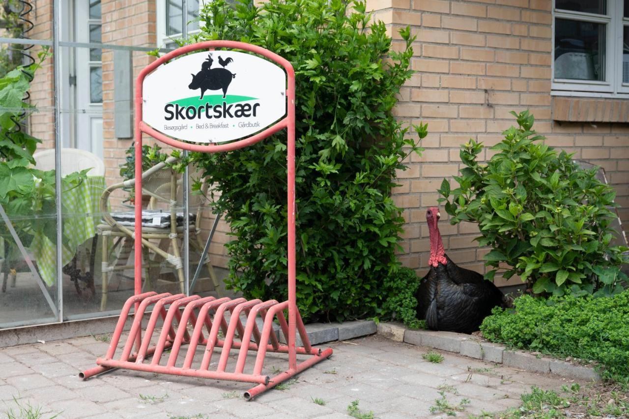 Skortskaer Bondegardsferie Bed and Breakfast Havnsø Buitenkant foto
