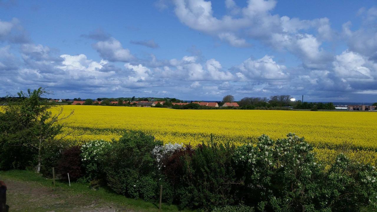 Skortskaer Bondegardsferie Bed and Breakfast Havnsø Buitenkant foto